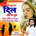 Kyu Bhool Gaye Dil Tod Ke Tum