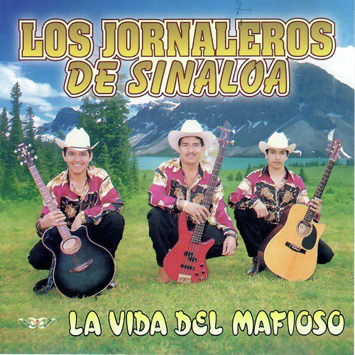 Pajarito en el Campo cover art