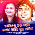 Maridelu Kanta Bainsi Alo Moro Suna Ilisi