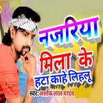Najariya Mila Ke Hata Kahe Lihalu