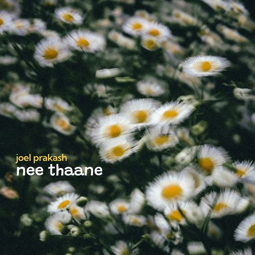Nee Thaane