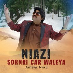 Niazi Sohnri Car Waleya-EQUTeSxReGo