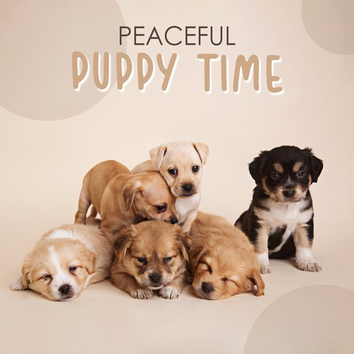 Peaceful Puppy Time: Quiet Ambiance Mix 2023_poster_image