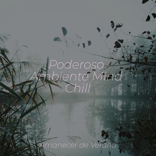 Poderoso Ambiente Mind Chill