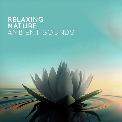 Relaxing Nature: Ambient Sound