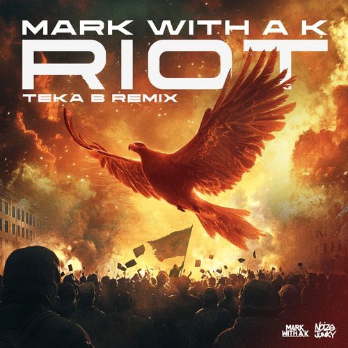 Riot (Teka B Remix)_poster_image