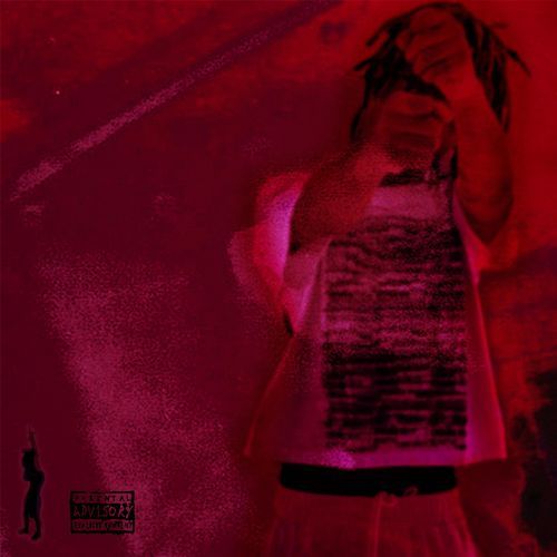Robin cover art