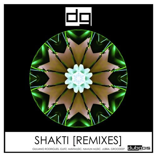 Shakti (Remixes)