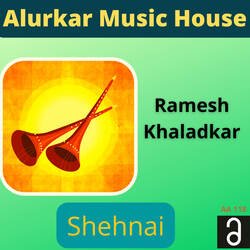 Shehnai