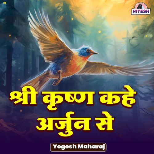 Shri Krishna Kahe Arjun Se