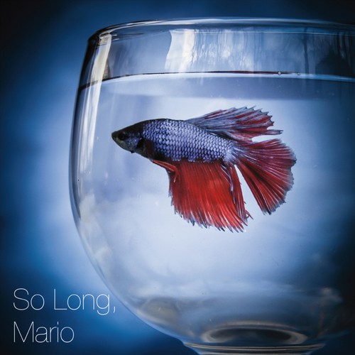Benjamin (Alternate) cover art