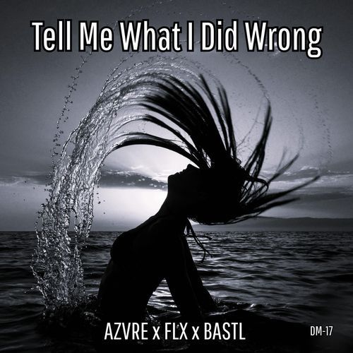 Tell Me What I Did Wrong