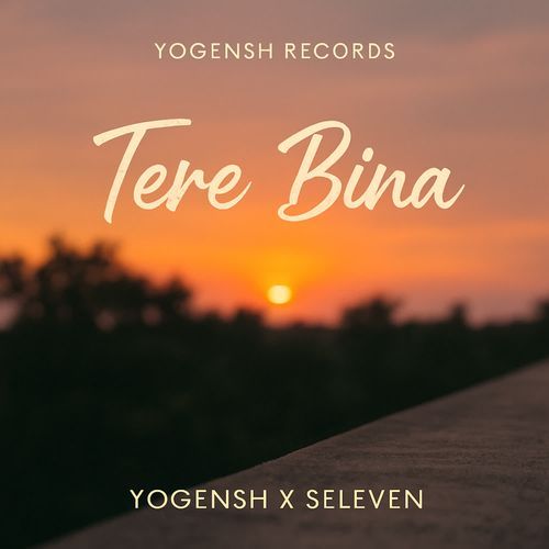 Tere Bina