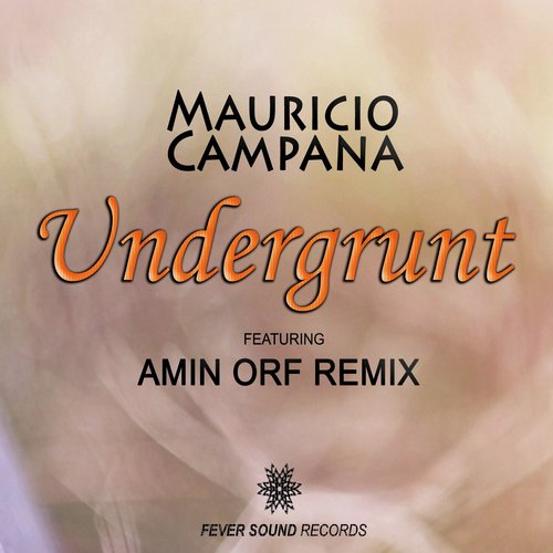 Undergrunt (Amin Orf Remix) cover art