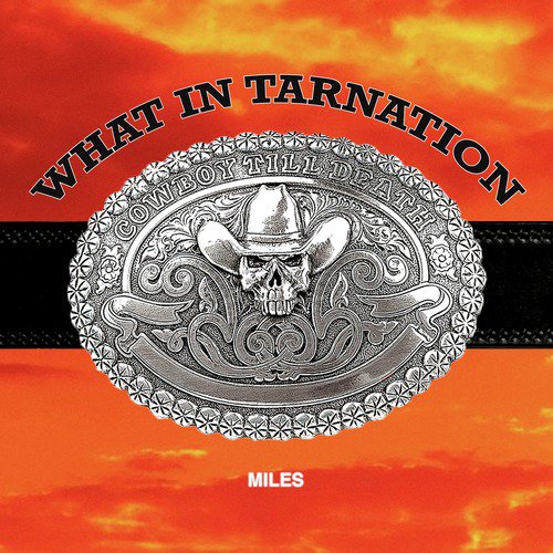 WHAT IN TARNATION_poster_image