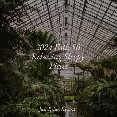 2024 Fall: 50 Relaxing Sleepy Pieces