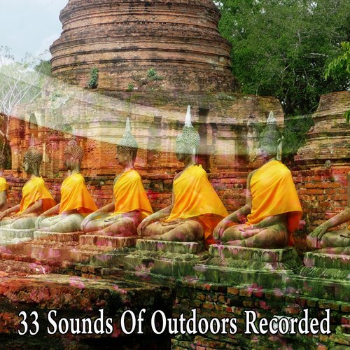 33 Sounds Of Outdoors Recorded