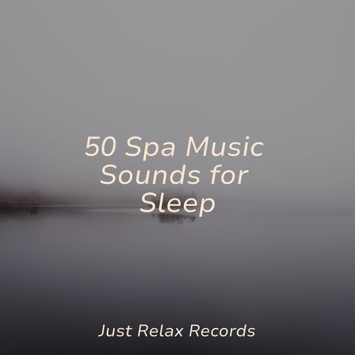 50 Spa Music Sounds for Sleep_poster_image