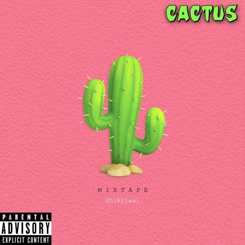 Cactus_poster_image