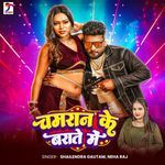 Chamran Ke Barate Mein