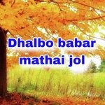 Dhalbo babar mathai jol