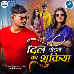 Dill Todne Ka Shukriya