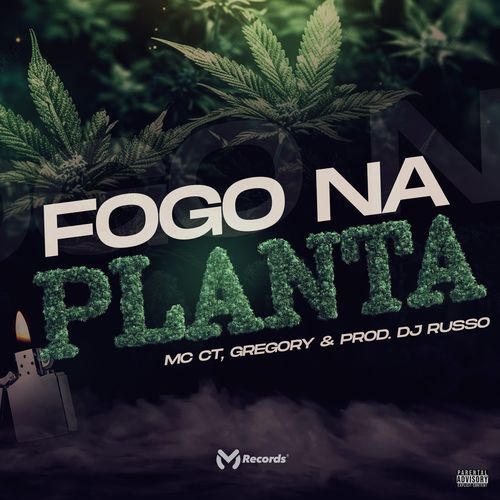 Fogo Na Planta_poster_image