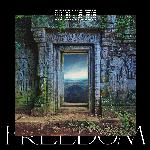 Freedom (Sub Focus x Wilkinson x High Contrast Remix)