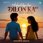 Haal Kya Hai Dilon Ka 2.0 Beach Vibes Mix