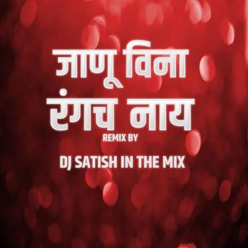 Janu Vina Rangach Naay(DJ Satish In The Mix )