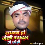 Labharwa ho gelau rangdar ge chhaudi