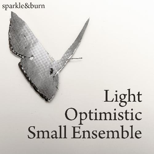 Light Optimistic Small Ensemble