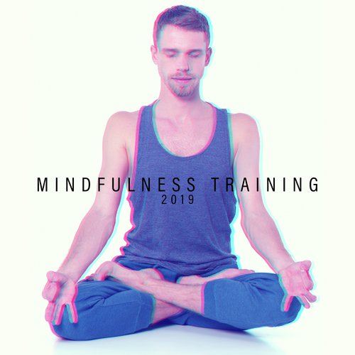 Mindfulness Training 2019 – Meditation Music Zone, Chakra Balancing, Yoga Music, Inner Balance, Tranquil Peace, Yoga Training, Zen