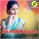 Naa Pranam Nuvvera