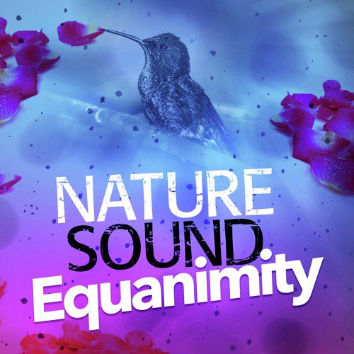 Nature Sound Equanimity