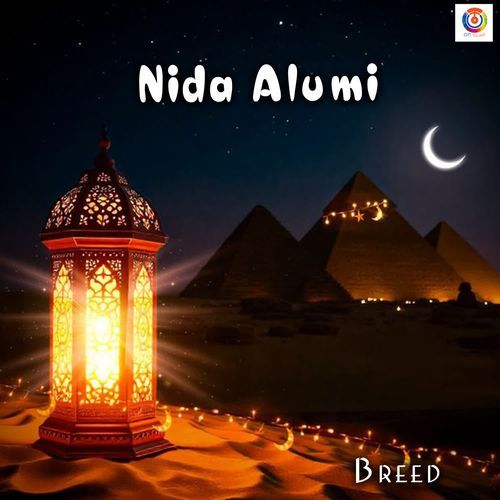 Nida Alumi