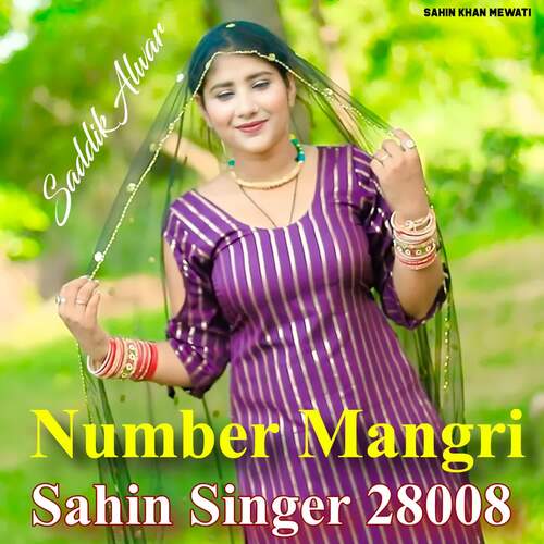 Number Mangri Sahin Singer 28008