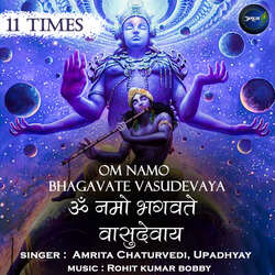 OM Namo Bhagavate Vasudevaya-11 Times-ADhdcwRiYmo