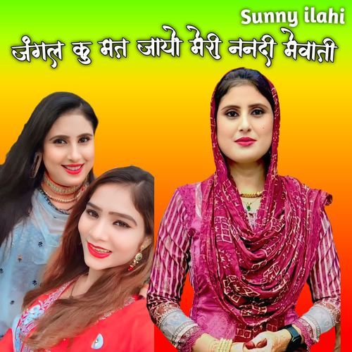 जंगल कु मत जायो मेरी ननदी मेवाती