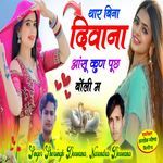 थार बिना दीवाना आंसू कुण पूछ बोली म