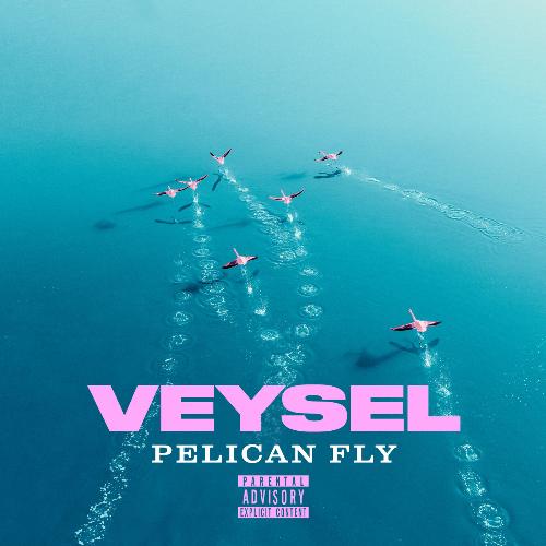 PELICAN FLY_poster_image