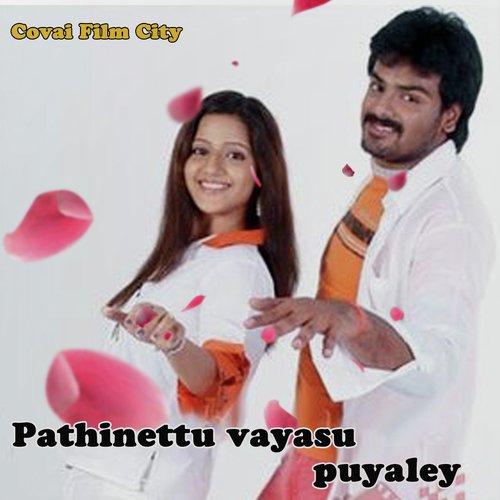 Pathinettu Vayasu Puyaley