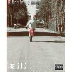 Riding In The Wind