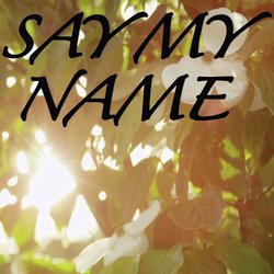 Say My Name (Tribute to David Guetta, Bebe Rexha and J Balvin)