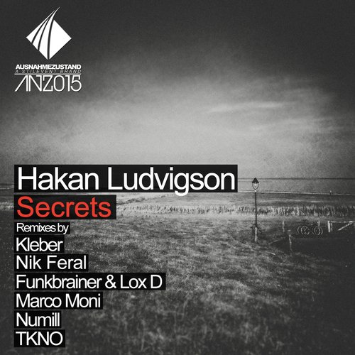 Secrets (Funkbrainer & Lox D Remix) cover art