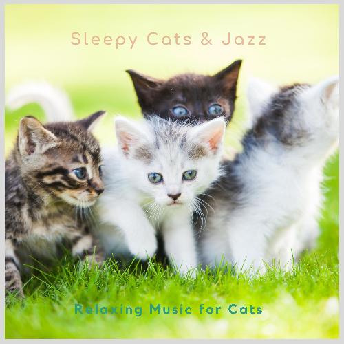 Relaxing Music for Cats cover art