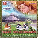 Sri Rudram   Namakam   Cont