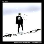 Stay Here Forever - Henry Fong & Chris Bushnell Remix