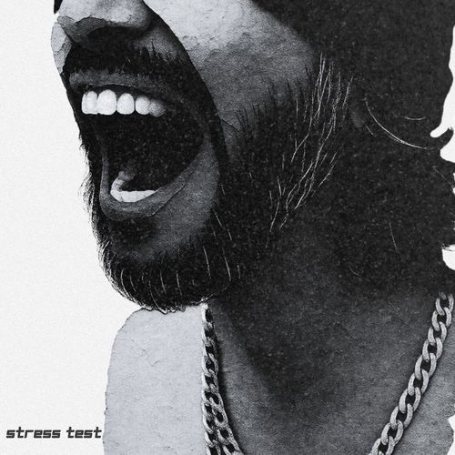 Stress Test