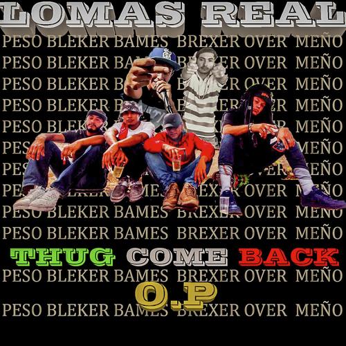 Ilegales (feat. Peso & Brexer) cover art
